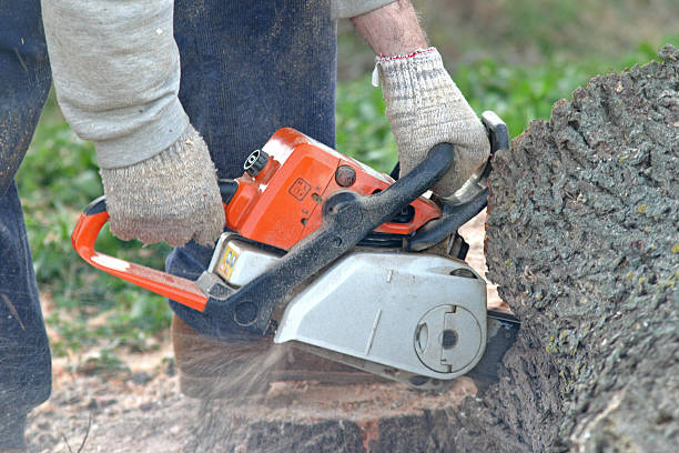 Best Tree Risk Assessment  in Richland, PA